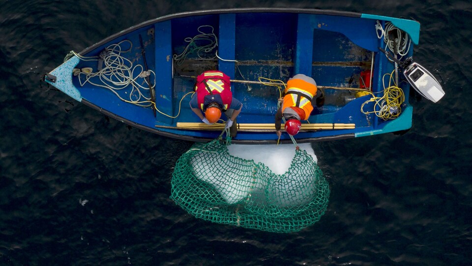 Deux personnes dans une chaloupe tirent un morceau d'iceberg à l'aide d'un filet.
