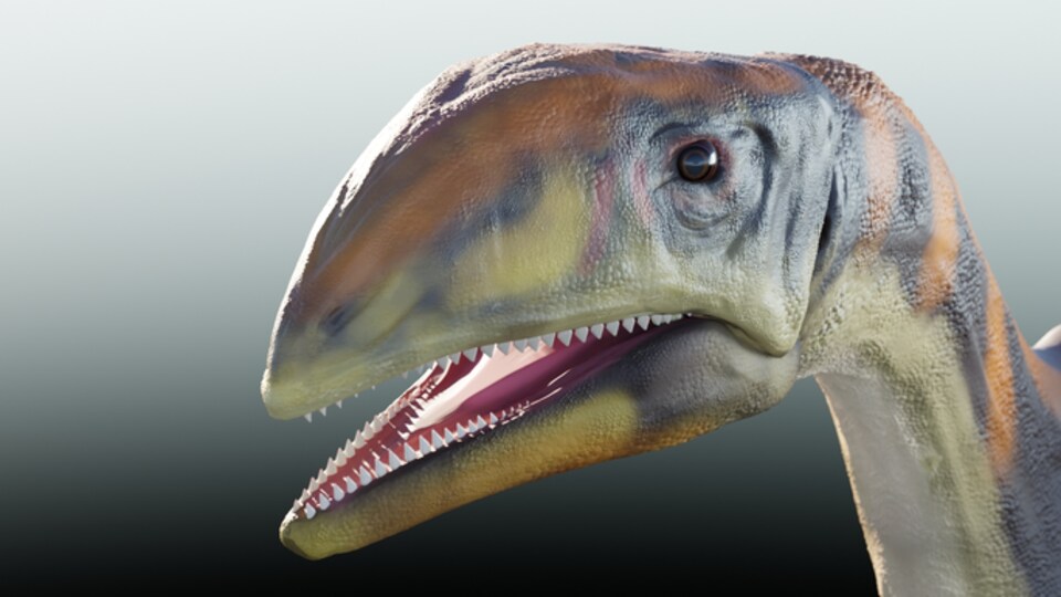Reconstruction artistique de la tête d'un Issi saaneq.
