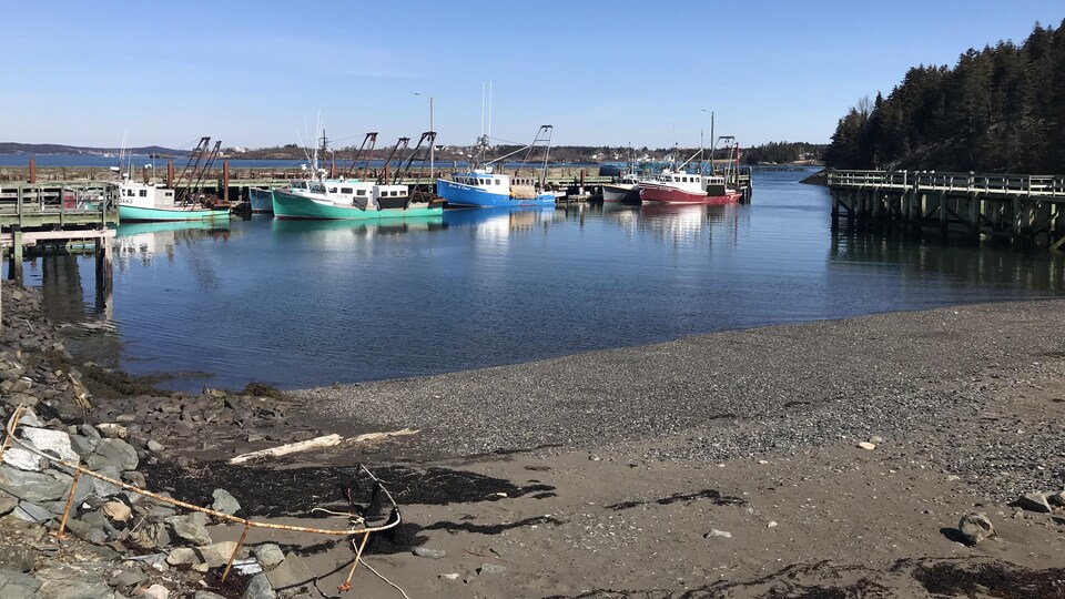 Des bateaux de pêche sont amarrés à un quai.
