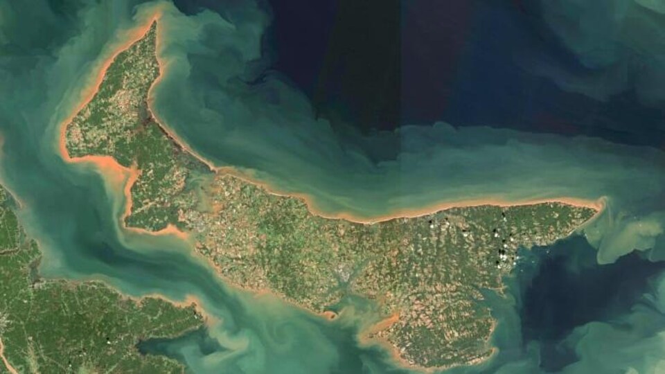 L'Île-du-Prince-Édouard.