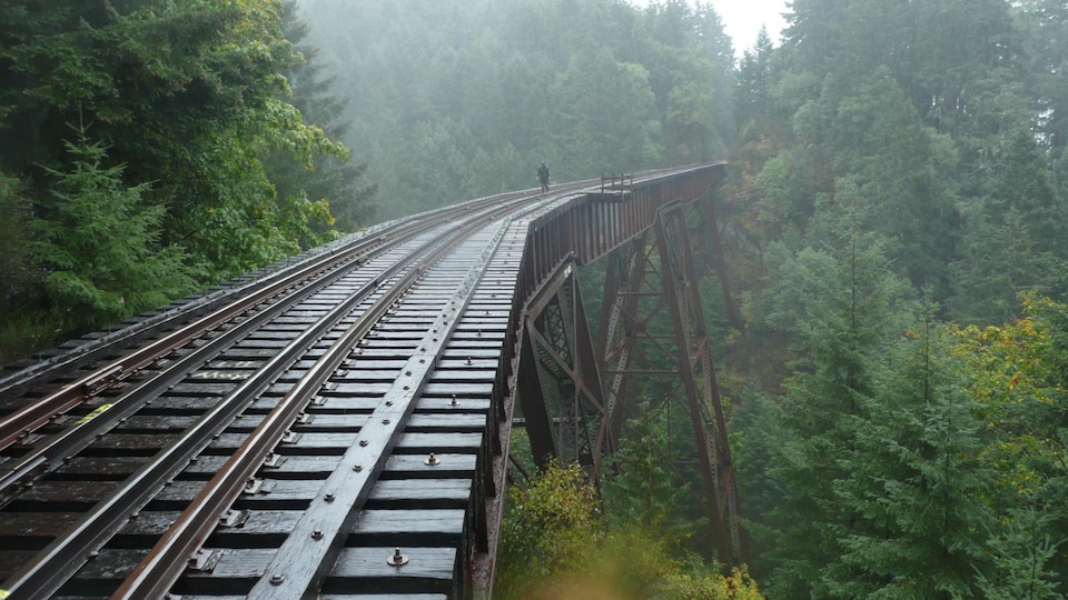 Le pont d'un chemin de fer sur l'île de Vancouver