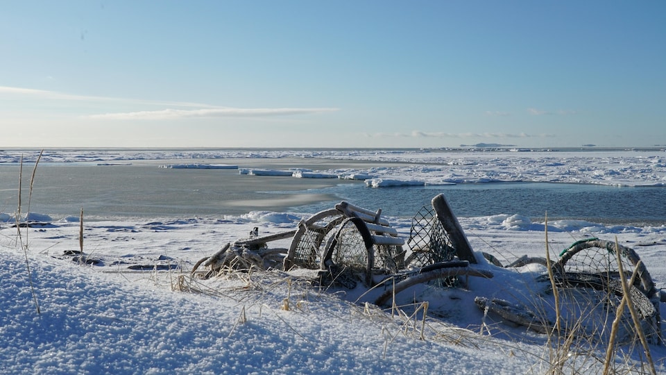 Une cage à homards aux Îles-de-la-Madeleine sous la neige de février. On voit de la glace dans le golfe du Saint-Laurent à l'arrière.