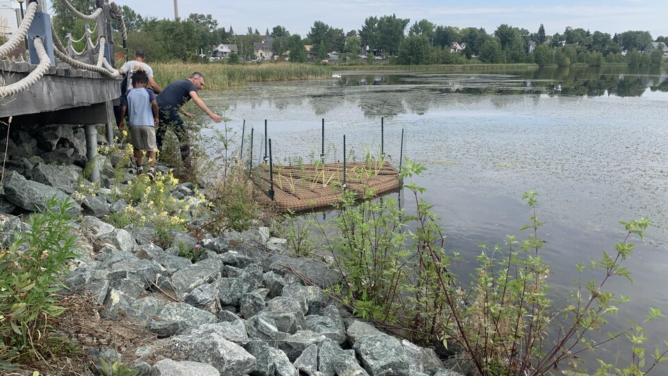 Un homme installe une île flottante sur une berge.