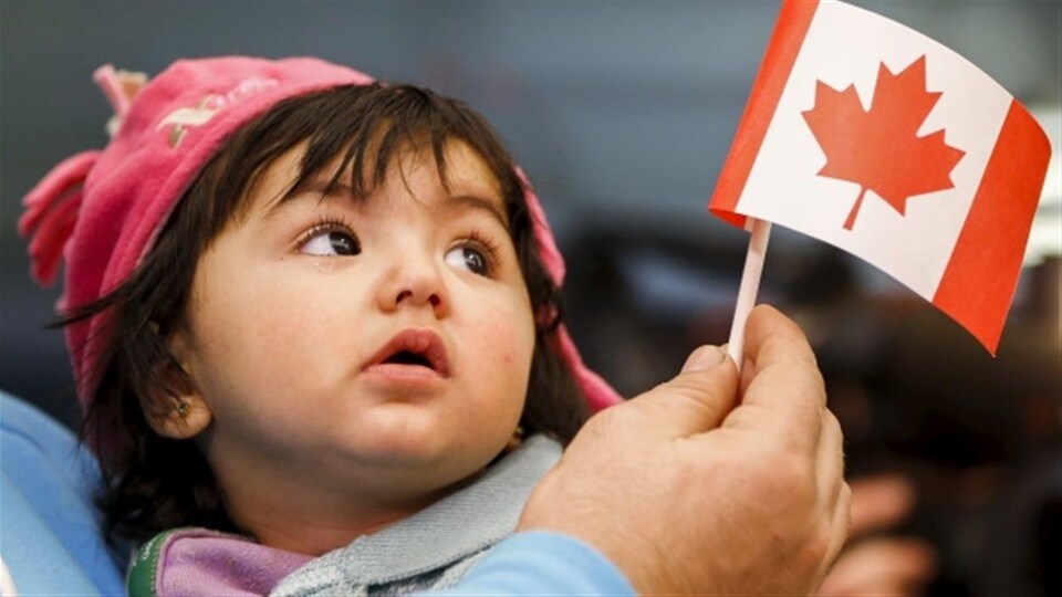 Un comité fédéral étudie la modernisation de la prestation de services à Immigration Canada.
