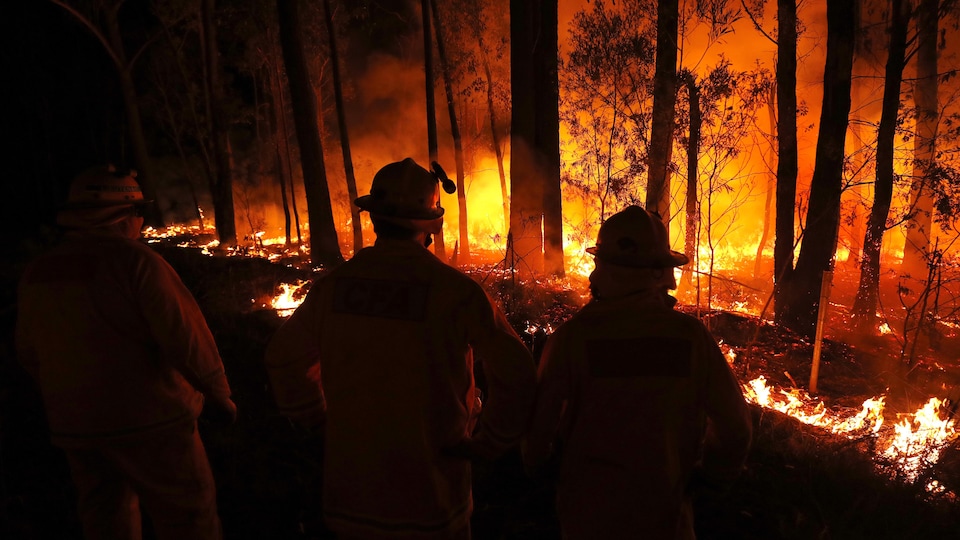 Des pompiers font face à un brasier qui enflamme la forêt, dans la nuit.