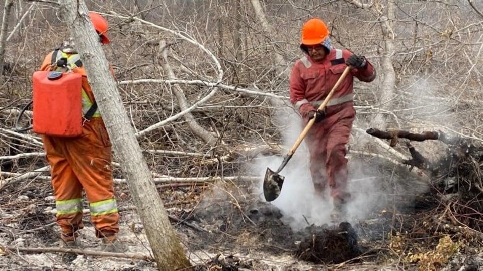 Deux pompiers dans un coin de forêt, où de la fumée s'échappe de broussailles.