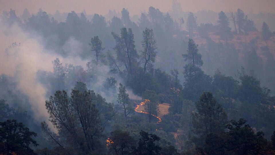 L'incendie Carr, en Californie.