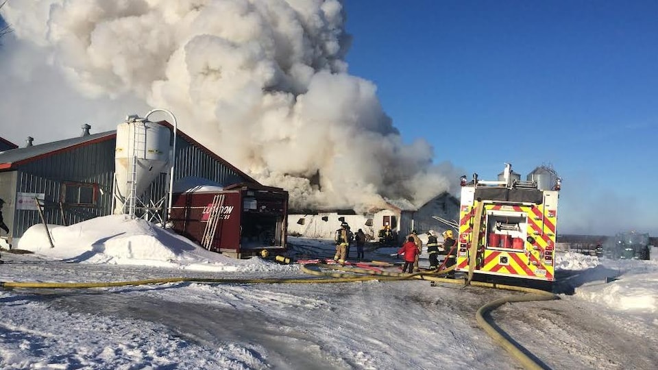 Un incendie a complètement ravagé lundi une porcherie de la ferme Turlo à Saint-Gervais, dans Bellechasse.