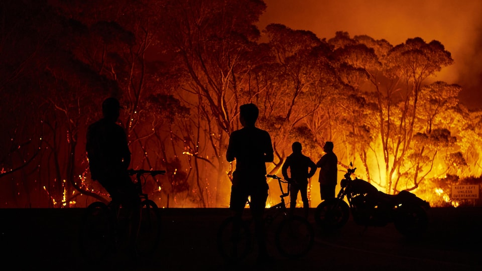 Des résidents observent des flammes géantes ravager les arbres.