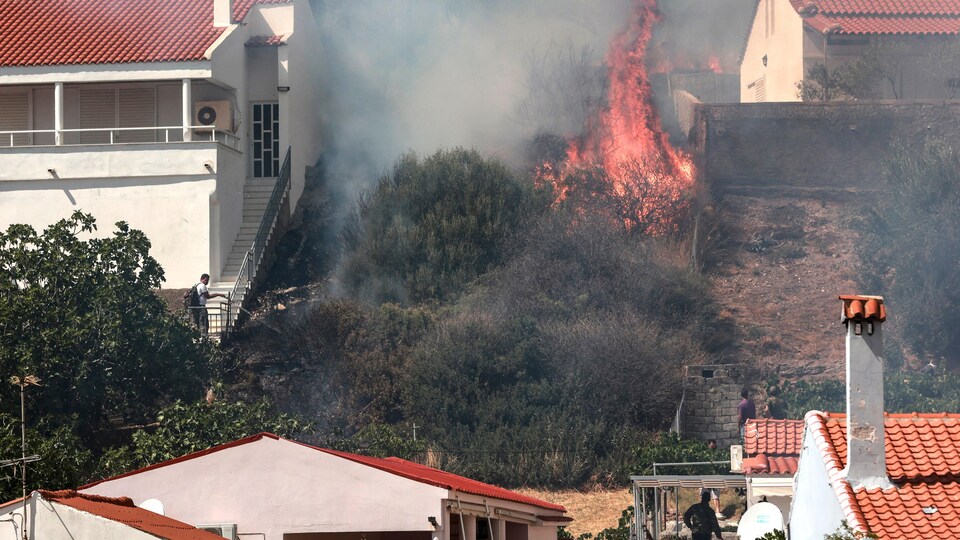   Des résidents regardent des arbres en feu près des maisons.