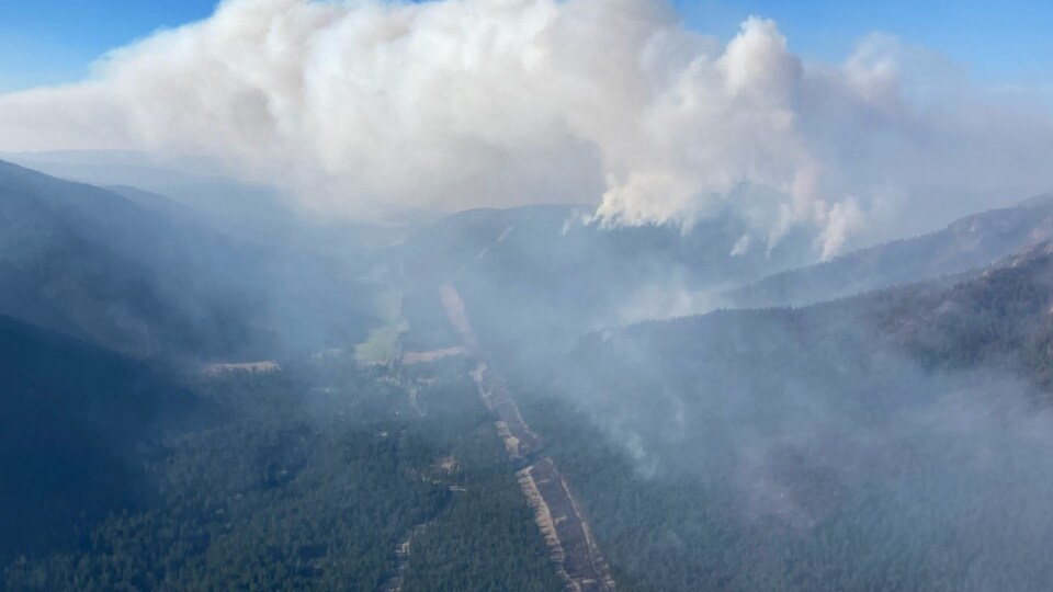 De la fumée s'échappe d'une forêt.