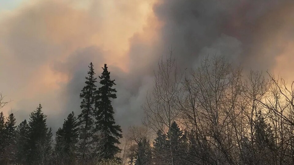 Une fumée épaisse est visible au loin derrière les arbres.