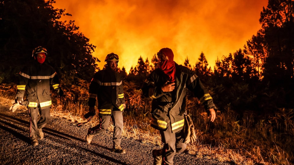 Trois pompiers marchent à côté d'une forêt en feu.
