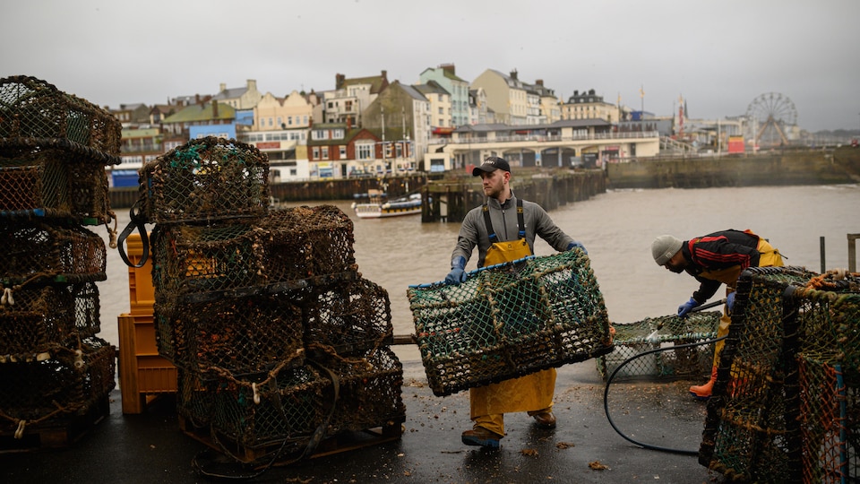 Des pêcheurs transportent leurs casiers de homards.