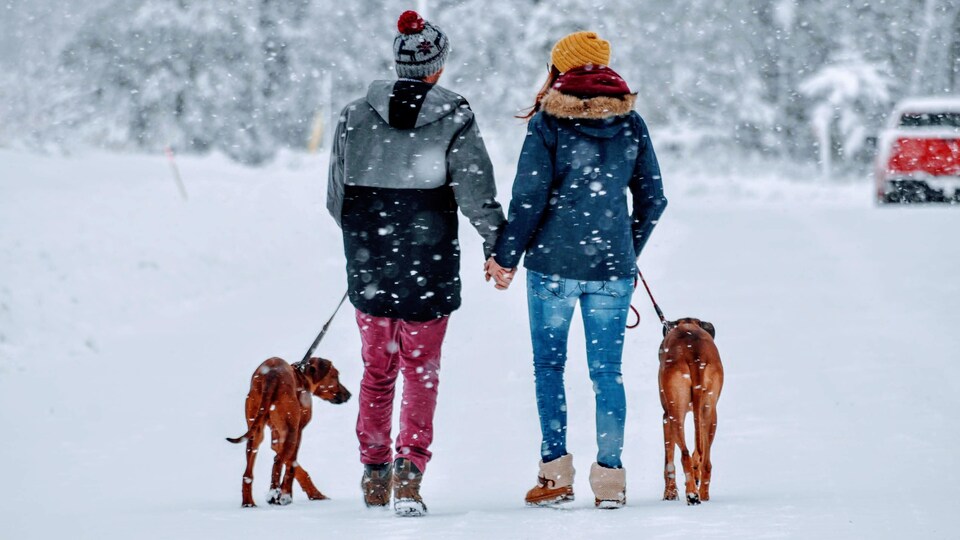 Un homme et une femme qui marche avec leurs deux chiens sous la neige et s'éloignant. 