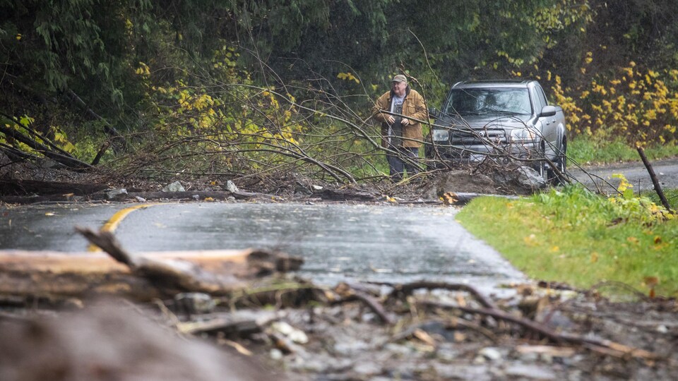 Un homme près de sa voiture arrêtée devant une route jonchés de troncs d'arbres.