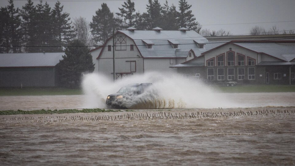 Une voiture roule dans une rue submergée par une inondation.