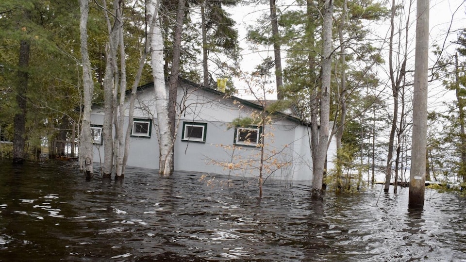Chalet inondé retenu par les arbres à Princess Park, dans la région de Grand Lake au Nouveau-Brunswick, le 28 avril 2019.