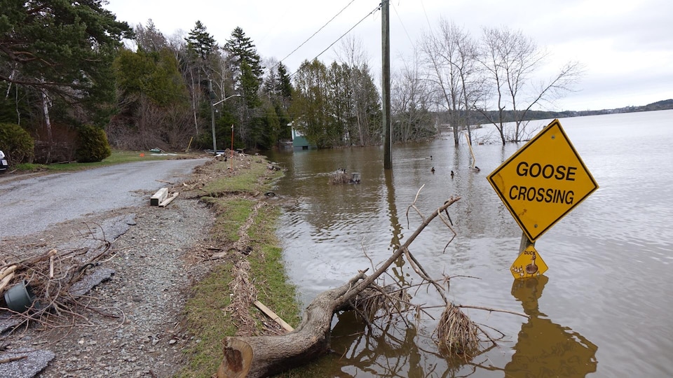 Une pancarte annonçant une traverse de bernaches et de canards est en partie enfoncée dans des eaux d'inondation.
