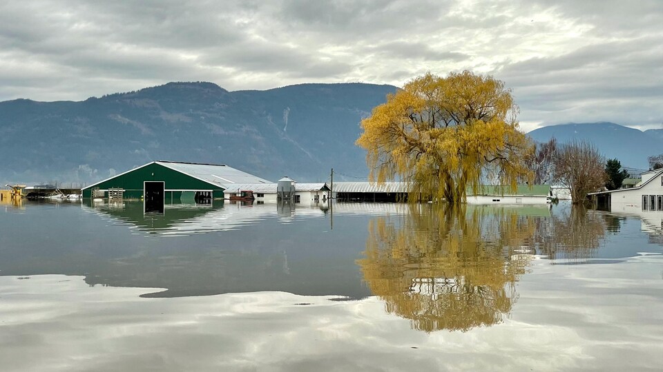 Une ferme inondée à Sumas Prairie, à Abbotsford en Colombie-Britannique.
