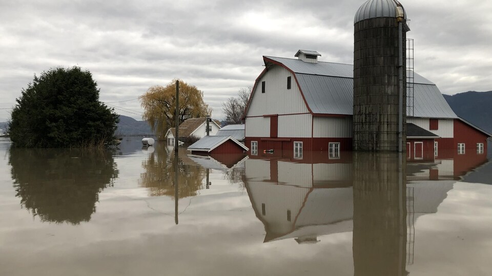 Une ferme entourée d'eau à Abbotsford, en C.-B.