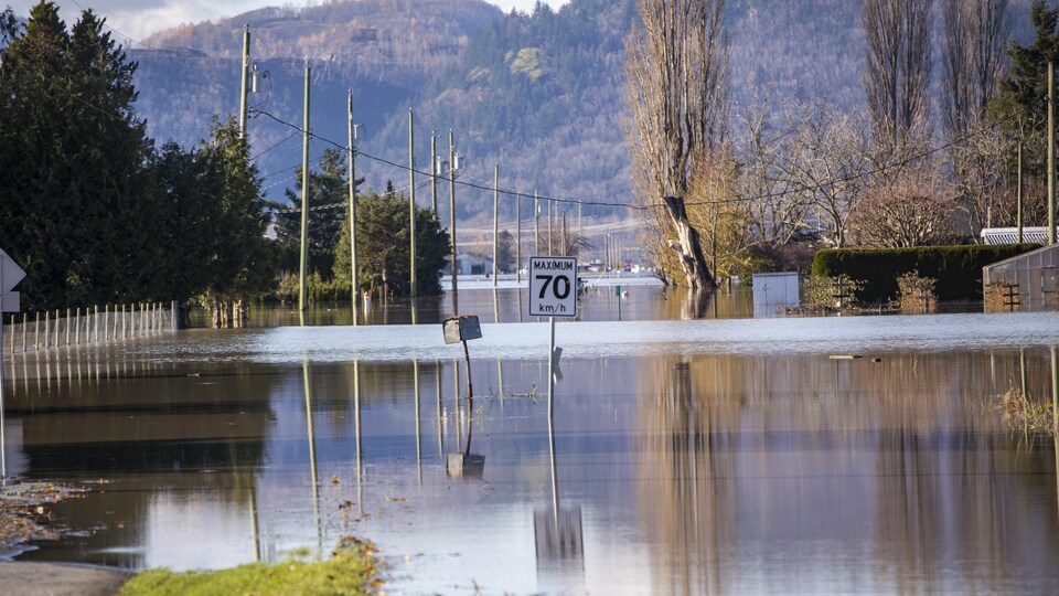 Un panneau indicateur de vitesse et une boîte aux lettres au milieu d'une rue complètement submergée par les eaux.