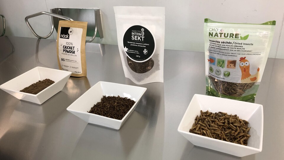 Des produits comestibles à base d'insectes sont exposés sur une table.