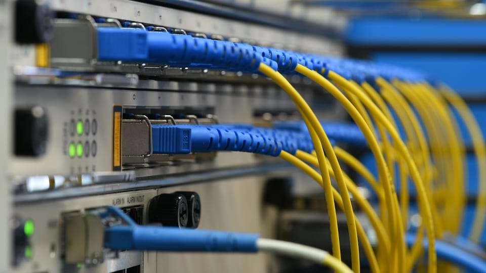 Des câbles de fibre optique branchés dans un appareil de réseautage.