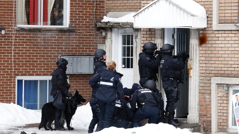 Des membres des forces de l'ordre et de l'escouade canine sur le pas de la porte, prêts à investir les lieux.