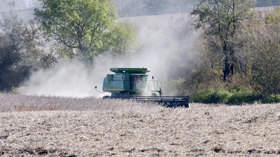 Un champ de soja en Iowa. 