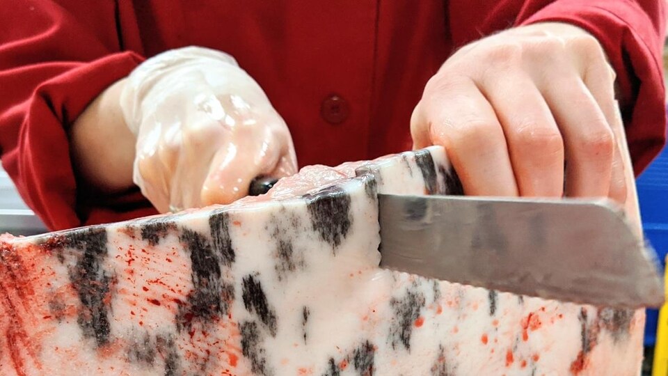 Une personne coupe un morceau de maqtaaq avec un couteau.