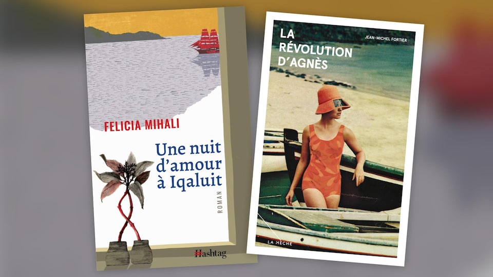 Deux suggestions de lecture pour ceux qui cherchent des romans déstabilisants.