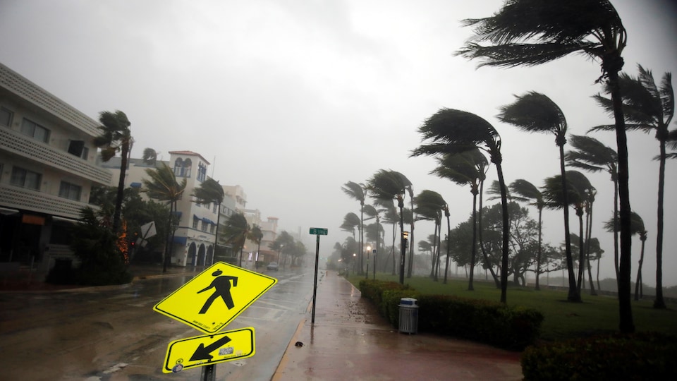 Le sud de la Floride secoué par Irma