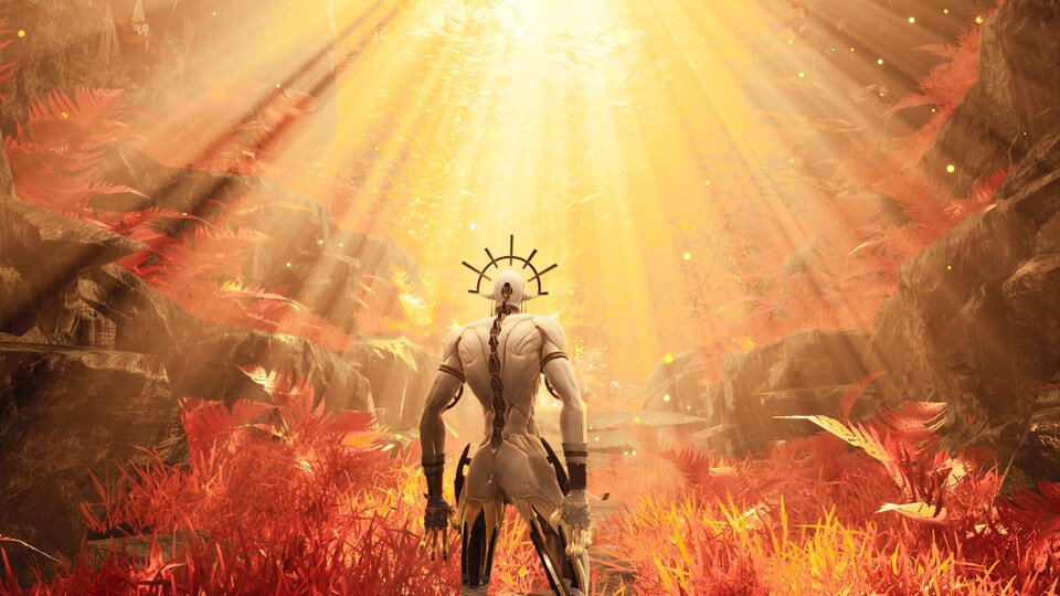 Un personnage de jeu vidéo contemple les rayons du soleil dans la nature. 