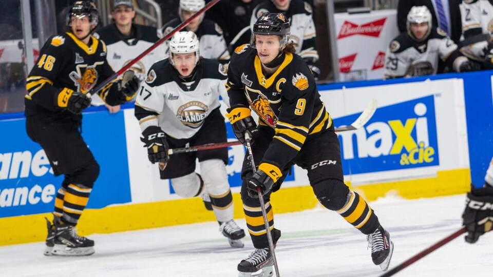 Plusieurs joueurs de hockey de deux équipes adverses sur une patinoire