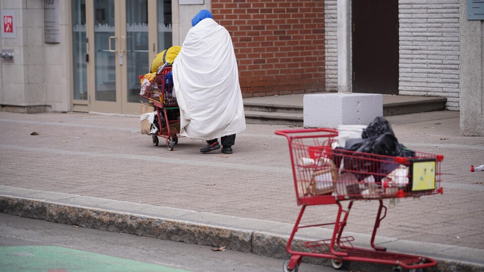 Une personne qui pousse un panier d'épicerie dans la rue, rempli d'effets personnels. 