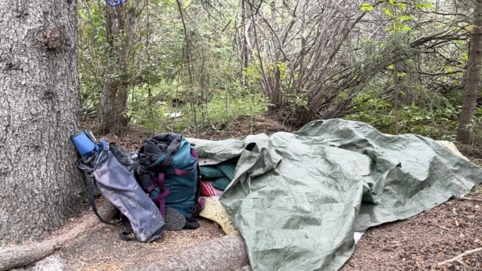 Un campement sans tente au pied d'un arbre.