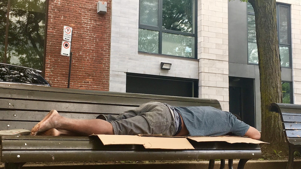 Un homme sans-abri dort en plein jour sur un banc, dans un quartier touristique du Vieux-Port de Montréal.