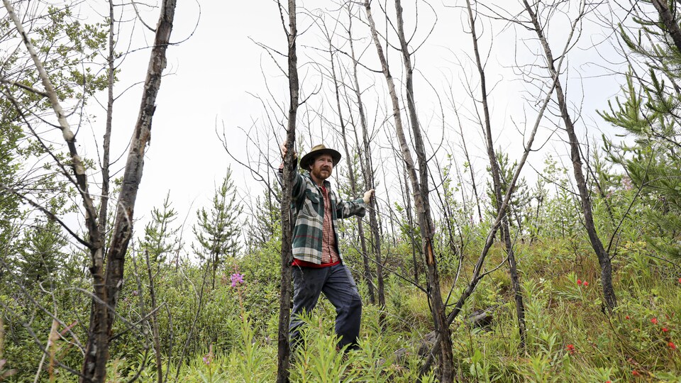 James Steidle pose devant des feuillus tués à l’aide de glyphosate.