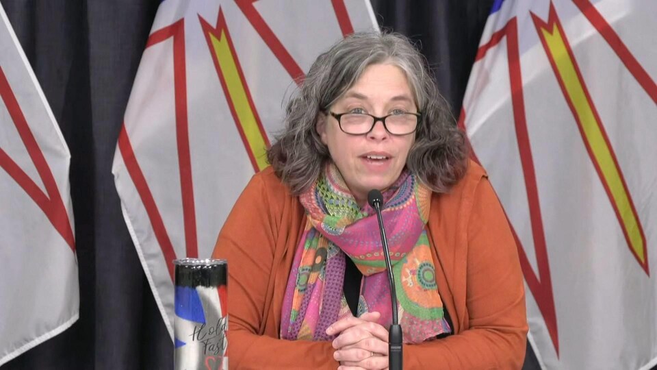 Janice Fitzgerald parle en conférence de presse, assise devant des drapeaux de Terre-Neuve-et-Labrador.