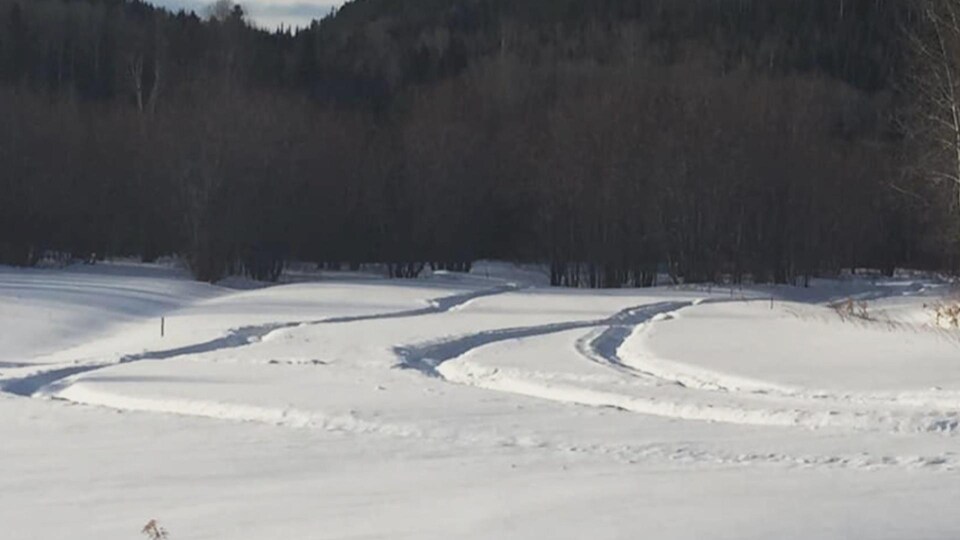 Des traces de motoneige dans un champ.