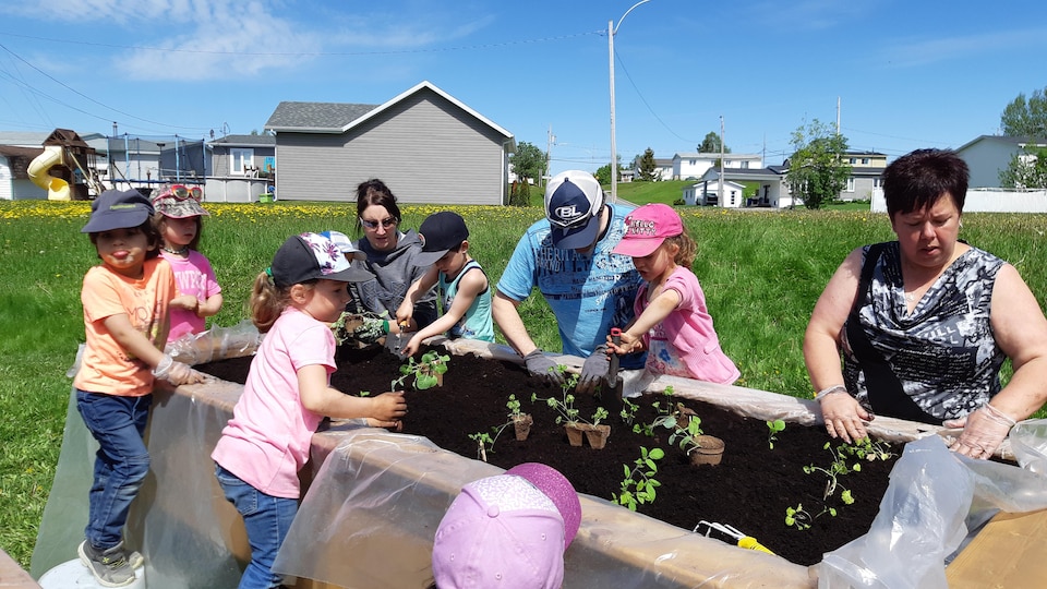 Des enfants en compagnie de 3 adultes plantent des semis dans une jardinière.