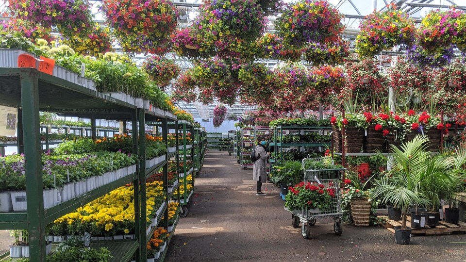 Une femme masquée dans une allée de fleurs d'un centre de jardinage.