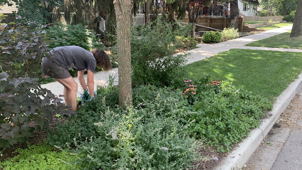 Une femme qui jardine devant chez elle, à Edmonton, en août 2022.
