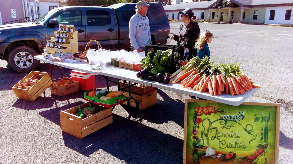 Un étalage de légumes sur une table à l'extérieur
