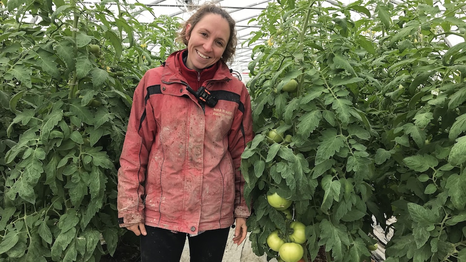 Kamylle Béchard-Plourde sourit à la caméra dans une serre, à côté d'un plant de tomates.