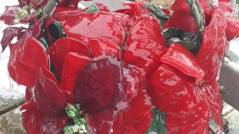 La glace recouvre une sculpture en forme de poinsettia.