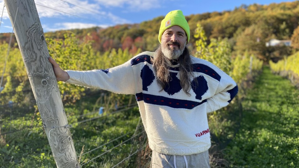 Jean-Benoît Deslauriers est appuyé sur un poteau au bout d'une rangée de vignes.