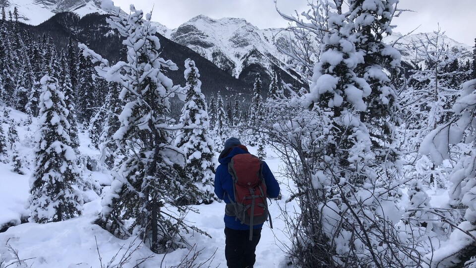 Un homme marche sur un chemin enneigé dans la forêt au pied d'une montagne.