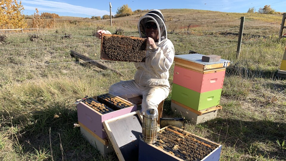 Jennifer Paterson tient le cadre d'une ruche.